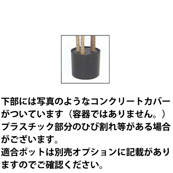 注意