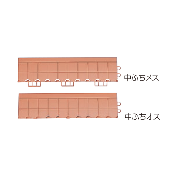 中ふちオス/メス