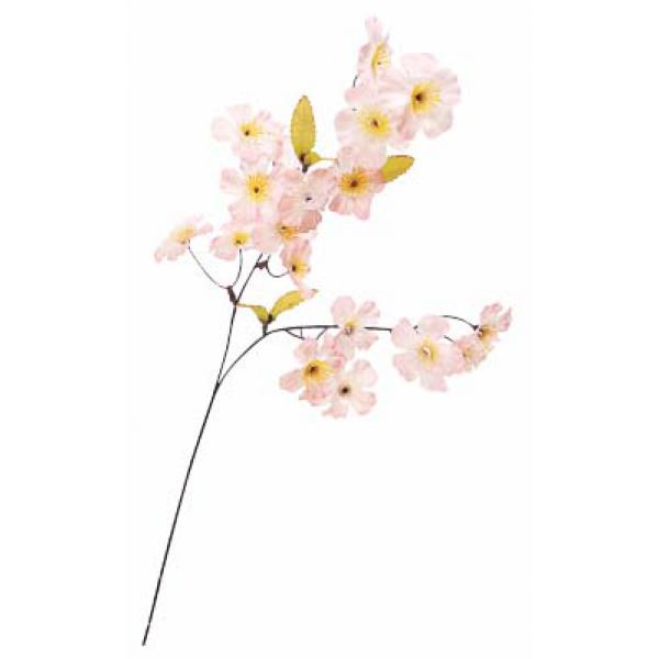 桜スプレイ