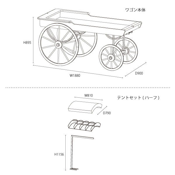 サイズ