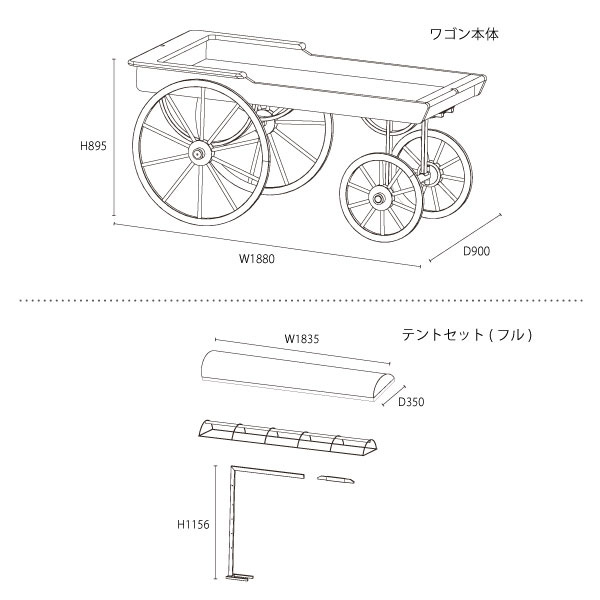 サイズ