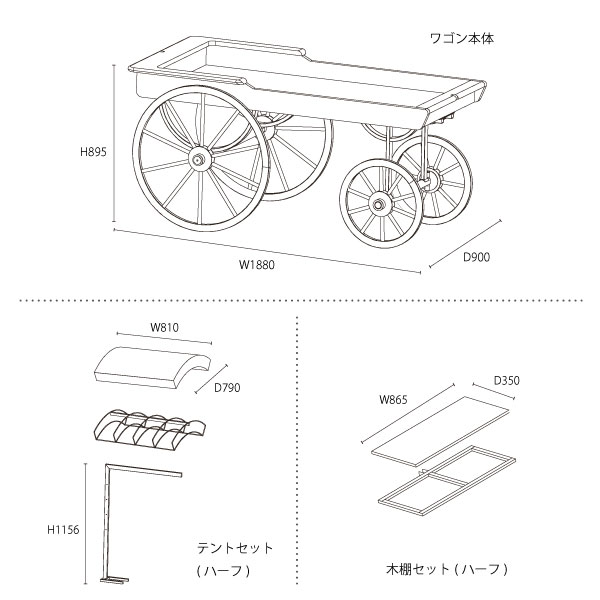 サイズ