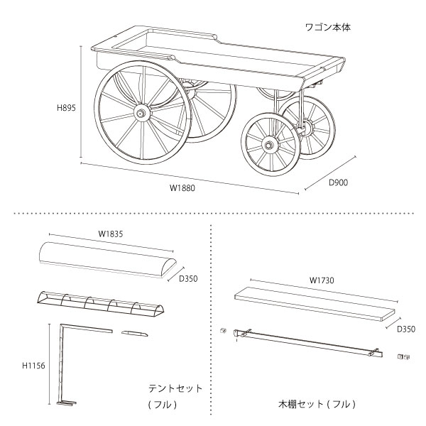 サイズ