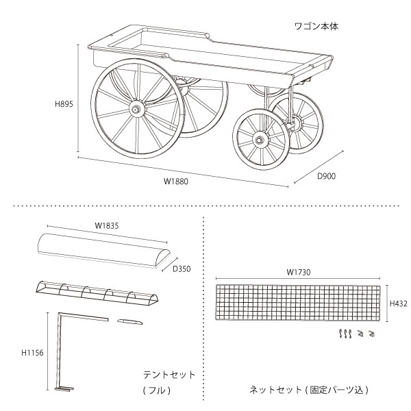 サイズ